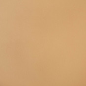 Capriccio Toast 10200-0007 تنسيق الألوان