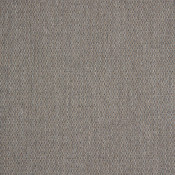 Pique Shale 40421-0033 กลุ่มสี