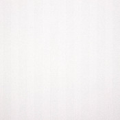 Switch Salt 40555-0001 Renk Çeşitleri