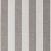 Paxton Stone 4711-0000 Paleta