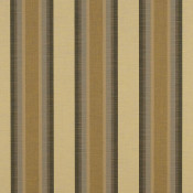 Colonnade Fossil 4855-0000 Renk Çeşitleri