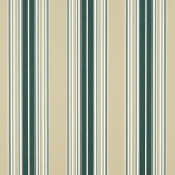Forest Green/Beige/Natural Fancy Stripe 4932-0000 Coordinate