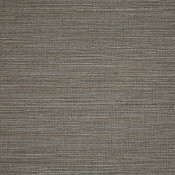 Collect Charcoal 50203-0003 Färgsättning