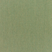 Canvas Fern 5487-0000 Kleurstelling