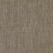 Augustine Gravel 5928-0007 Palette de coloris