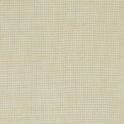 Augustine Pebble 5928-0031 Palette de coloris
