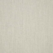 Augustine Oyster 5928-0045 Palette de coloris