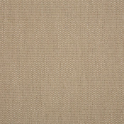 Augustine Ashe 5928-0054 Palette de coloris