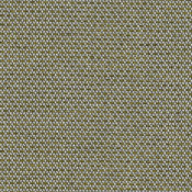 Archi Oxide ARCH R055 140 Colorway