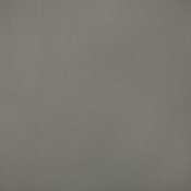 Capriccio Grey HCA 10200 11 137 Colorway