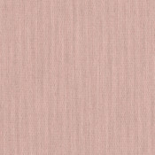 Canvas Blush SJA 3965 137 Kết hợp màu sắc