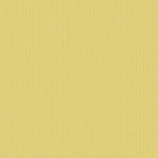 Canvas Canary SJA 3984 137 Paleta