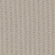 Canvas Stone SJA 3988 137 Paleta