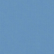 Canvas Myosotis SJA 3990 137 Paleta