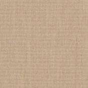Flax SUNB P017 152 Renk Çeşitleri
