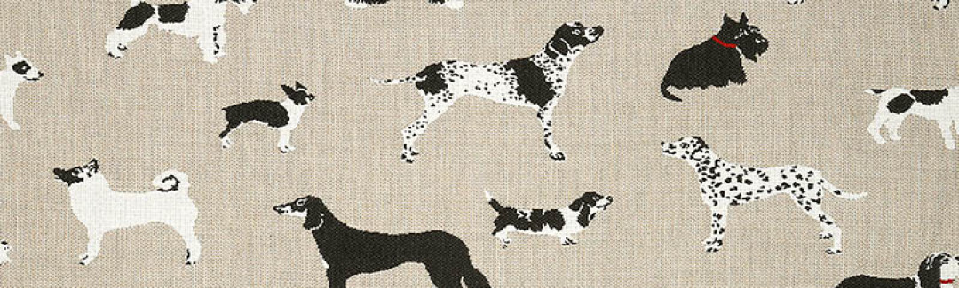 Fetch Bone 145414-0001 Ayrıntılı Görüntü