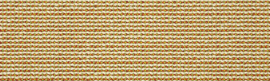 Hybrid Citrus 42076-0000 Detailed View