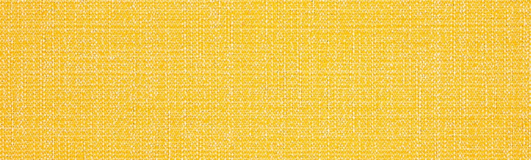 Palette Cadmium Yellow 5840-05 Detailed View