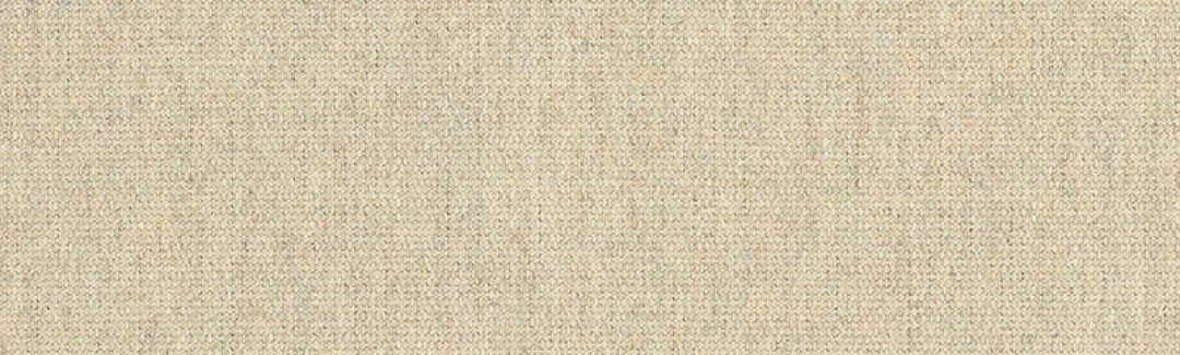 Heritage Papyrus SJA 18006 00 137 Detailed View