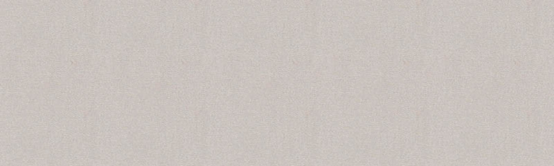 Canvas Silver Grey SJA 3741 137 Vista dettagliata