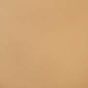 Capriccio Toast 10200-0007