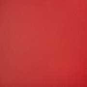 Capriccio Logo Red 10200-0016