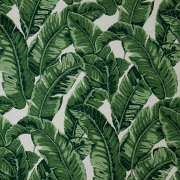 Tropics Jungle 145214-0000
