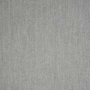 Switch Silver 40555-0005