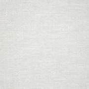 Switch Snow 40555-0021