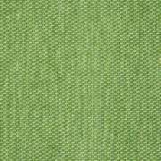 Tailored Cilantro 42082-0024