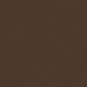 True Brown 4621-0000