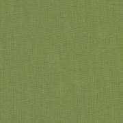 Spectrum Cilantro 48022-0000