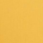 Spectrum Daffodil 48024-0000