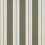 Fern Classic 4955-0000