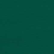 Canvas Forest Green 5446-0000