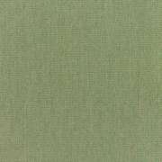 Canvas Fern 5487-0000