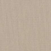 Canvas Papyrus SJA P055 137