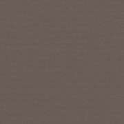 Taupe SUNB 5548 152