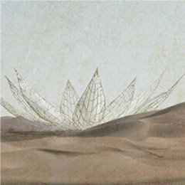 Desert Pavilions
