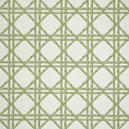 Reign Jungle 145218-0007