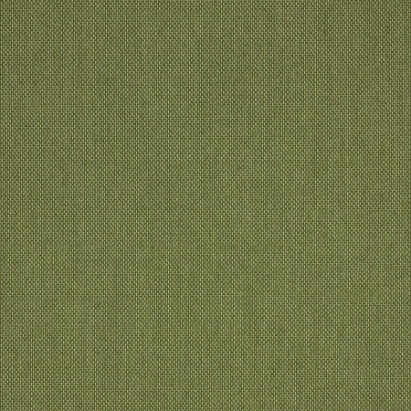 Flagship Cilantro 40014-0153