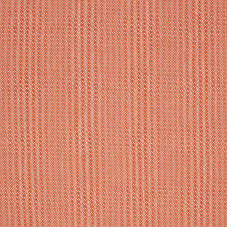 Flagship Guava 40014-0160
