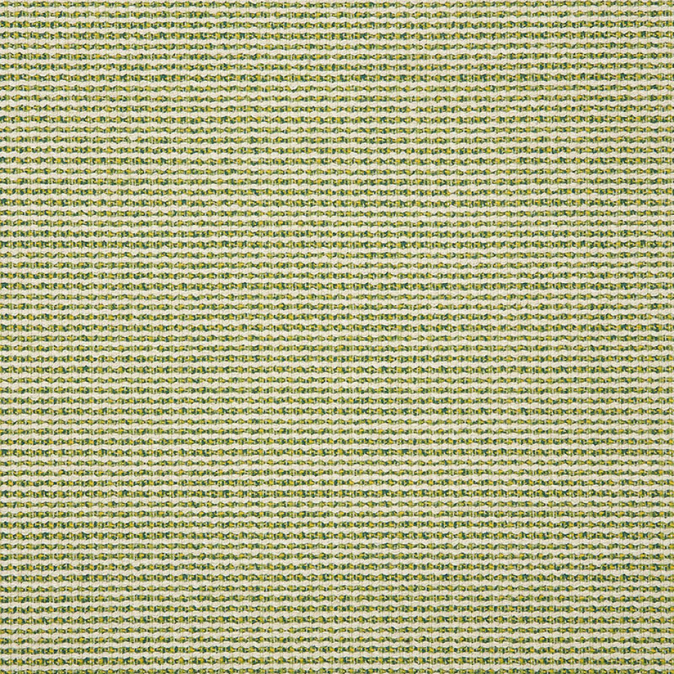 Hybrid Lime 42077-0000 Larger View