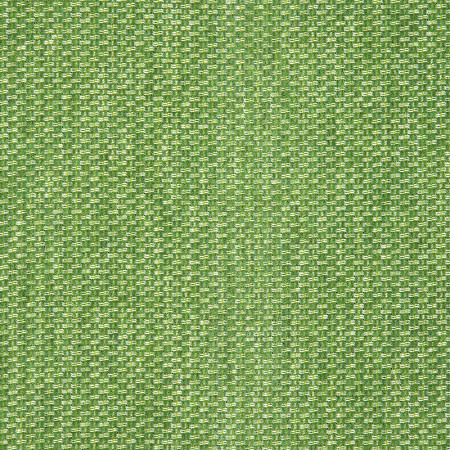 Tailored Cilantro 42082-0024