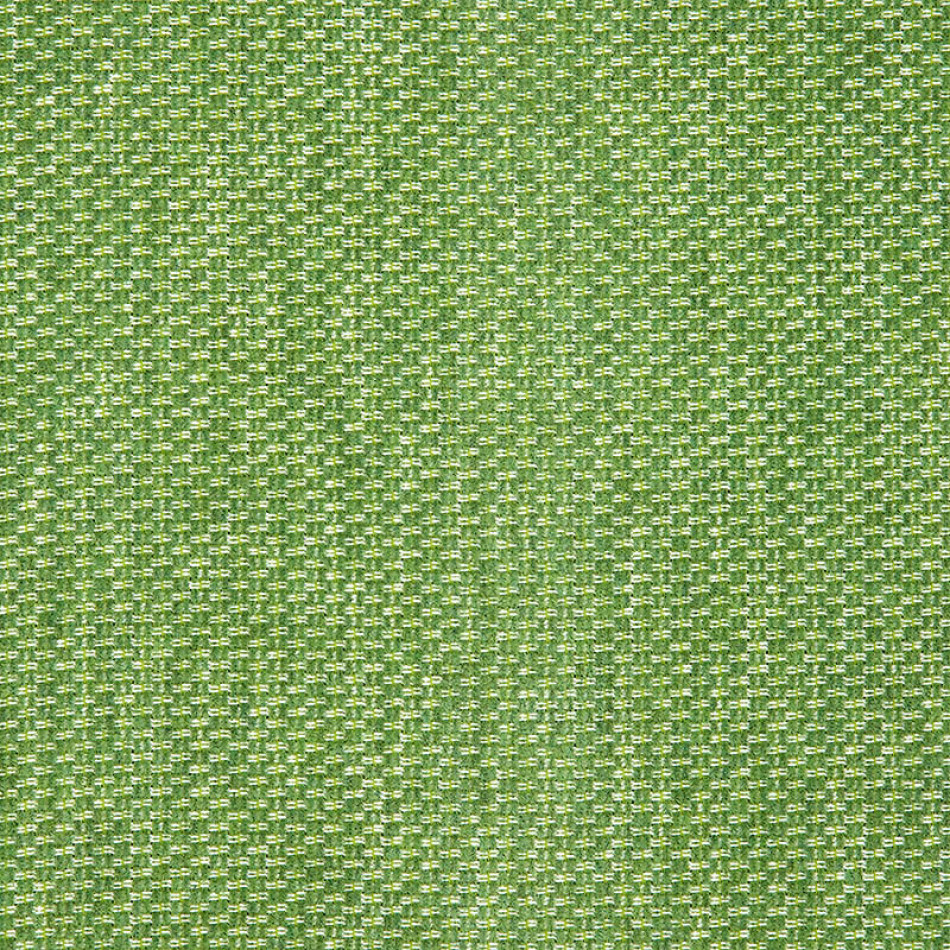 Tailored Cilantro 42082-0024 拡大表示