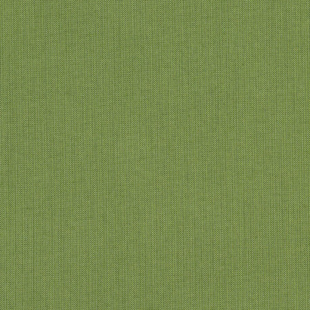 Spectrum Cilantro 48022-0000