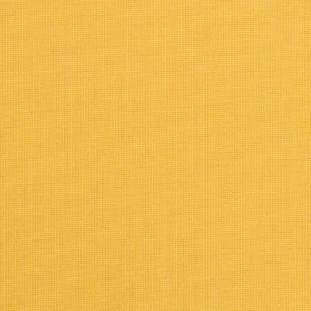 Spectrum Daffodil 48024-0000