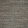 Collect Charcoal 50203-0003
