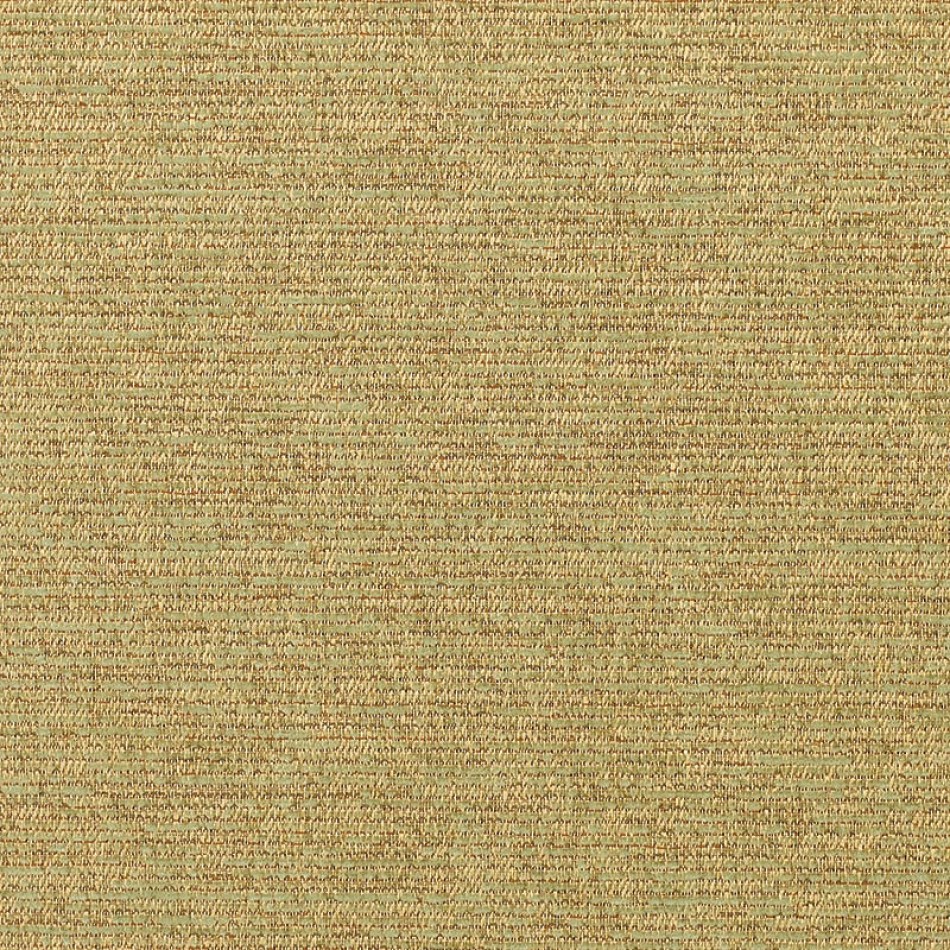 Corcovado Lichen 5312-0001 Larger View