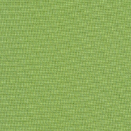 Canvas Ginkgo 54011-0000